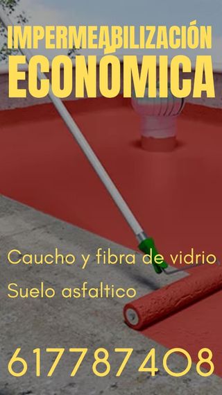 ALICATADO ECONÓMICO