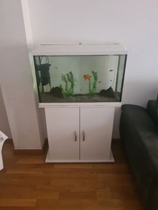 Acuario con mueble blanco