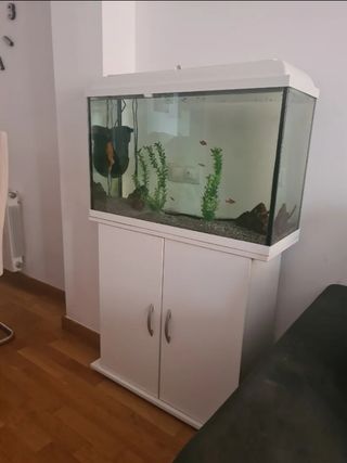 Acuario con mueble blanco