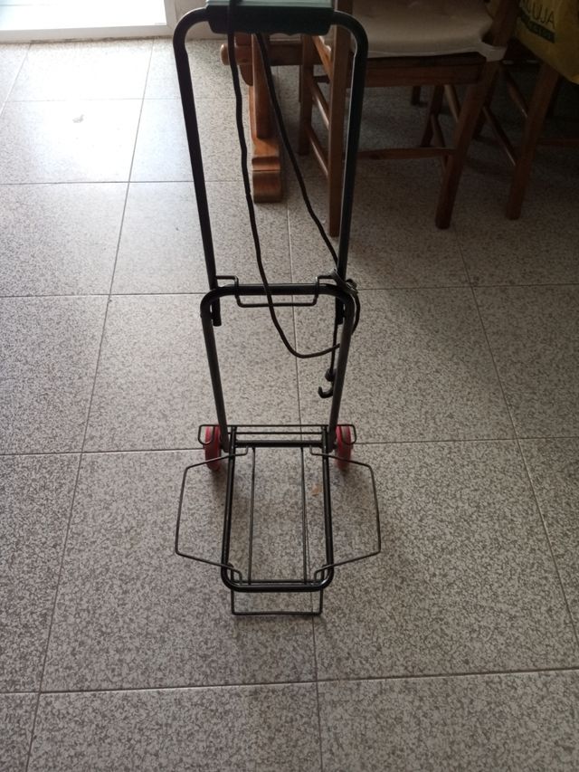 Carrito transportar peso