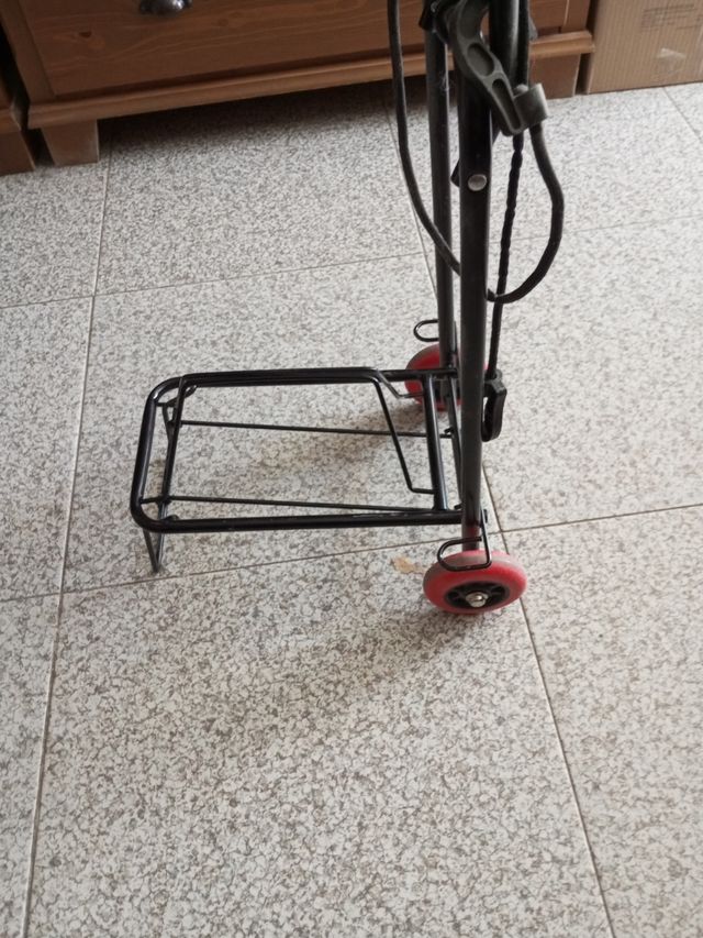 Carrito transportar peso