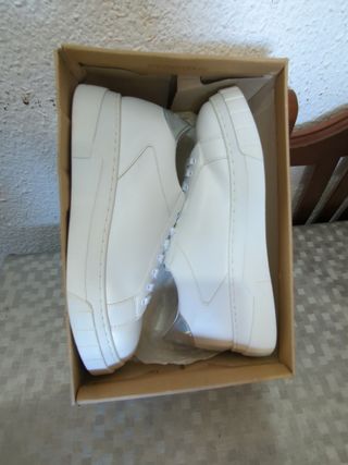 Zapatillas Steve Madden 
