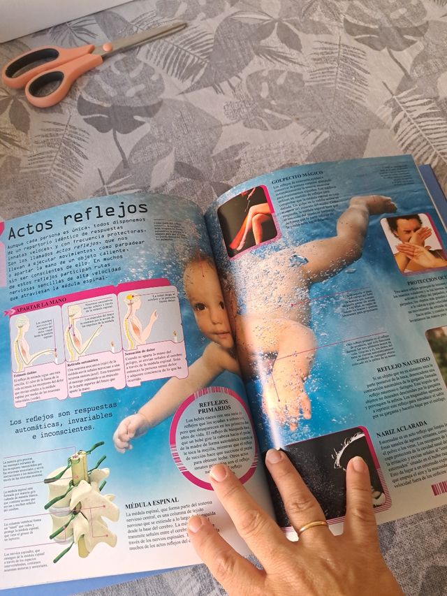 Cuerpo Humano en Movimiento (Spanish Edition)