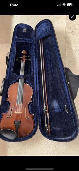 Viola 14" con estuche
