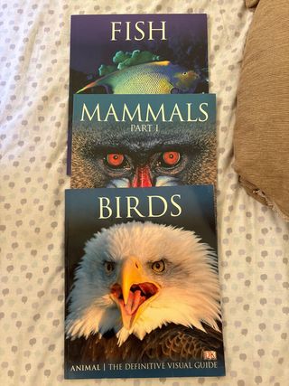 Set visual de animales