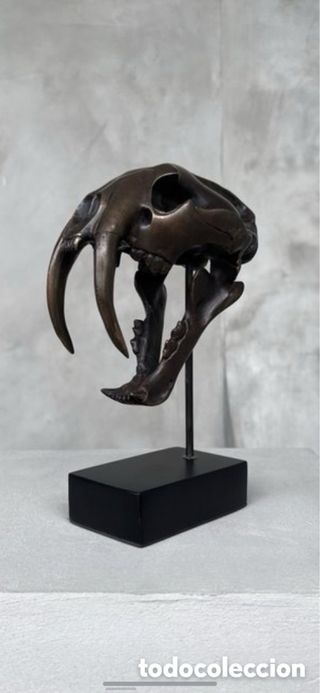Escultura cráneo Tigre Dientes de Sable