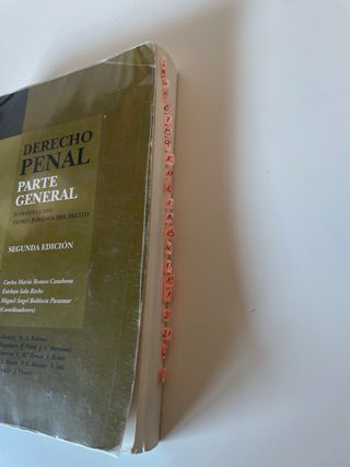 Derecho Penal. Parte General