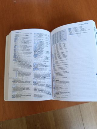 Diccionario Pocket Plus Inglés (Pocket Plus): D...