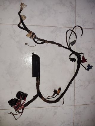 Cableado motor centralita Seat Marbella