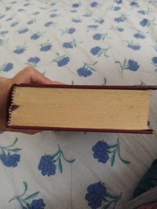 I promessi sposi, Alessandro Manzoni collezionismo