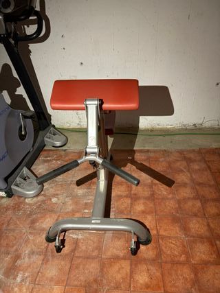 Bicicletas estáticas, pecho,biceps,triceps