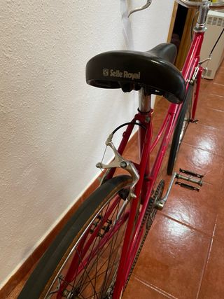 Bicicleta vintage
