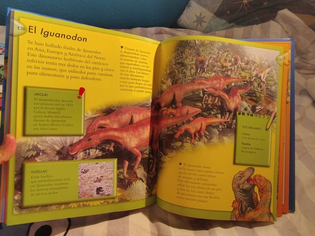 Todo lo que necesitas saber sobre los dinosaurios