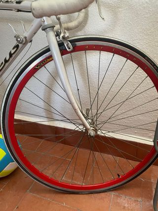 Bicicleta carretera Zeus + rodillo