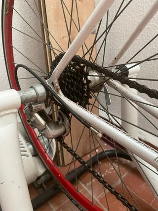 Bicicleta carretera Zeus + rodillo