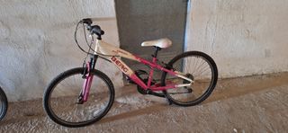 Bicicleta Berg Charly 243