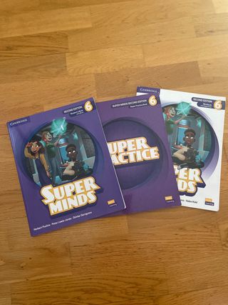 super minds 6 primaria