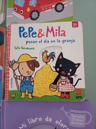 Lote de cuentos infantiles de tapa dura