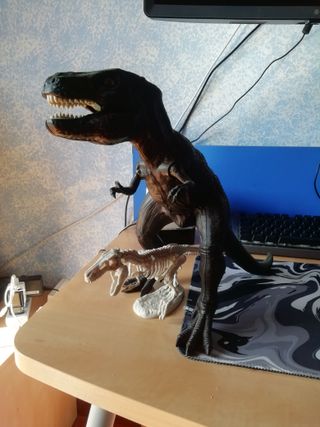 Dinosauro T-Rex: Grande e Scheletro