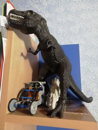 Dinosauro T-Rex: Grande e Scheletro
