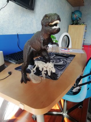 Dinosauro T-Rex: Grande e Scheletro