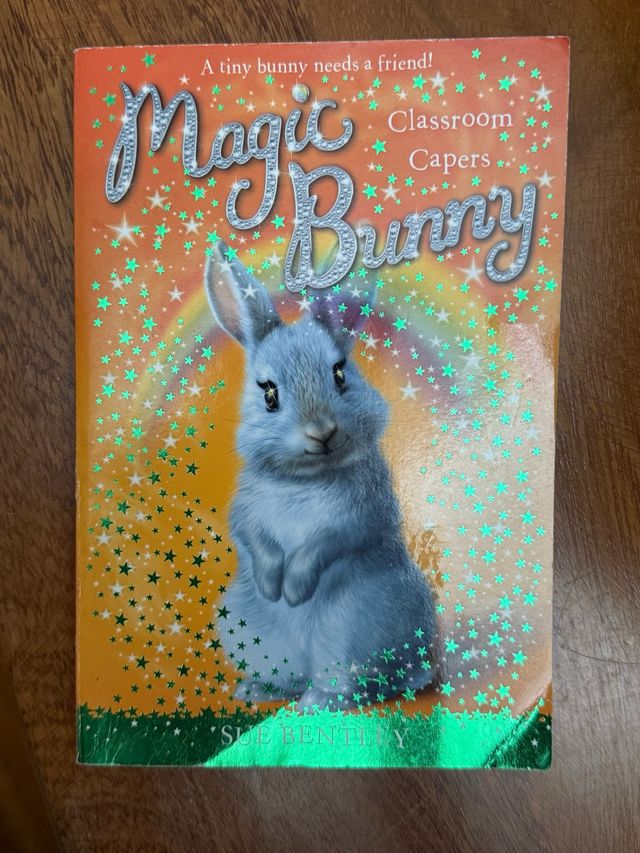 The Magic Bunny