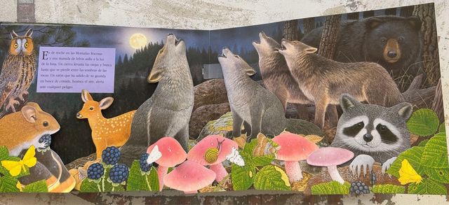 Sonidos de la noche (Sonidos de animales) (Span...