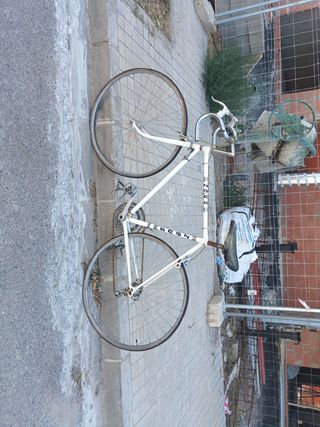 Bicicleta carreras vintage