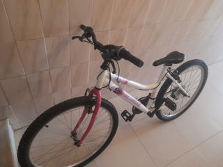 Bicicleta montaña 