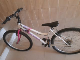 Bicicleta montaña 