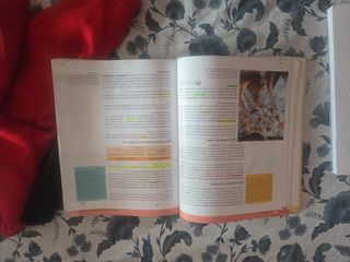 Filosofía1 Bachillerato (2015)