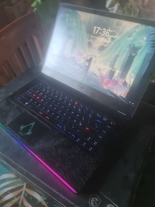 Portátil MSI GE66 RTX 2070 Valhalla 10SF