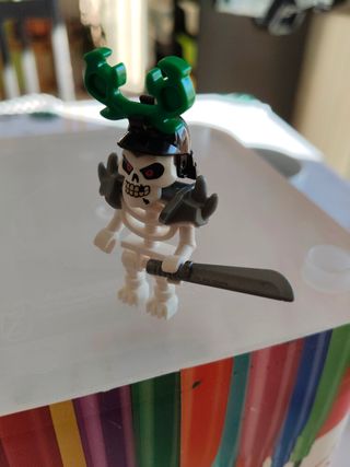 Lego Ninjago Skulkin, oficial