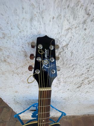 Guitarra Electroacústica Takamine