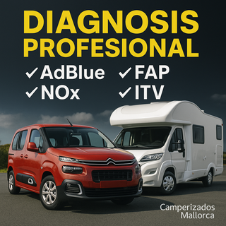 Diagnosis profesional coches,furgoneta,