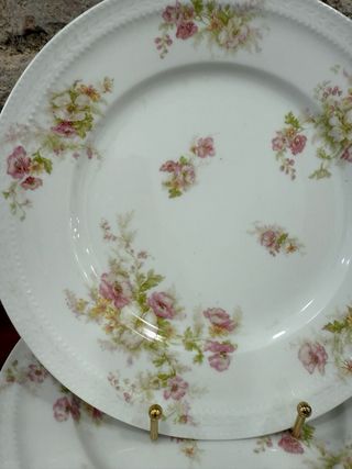 Platos Haviland Limoges