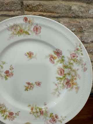 Platos Haviland Limoges