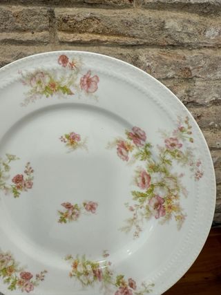Platos Haviland Limoges