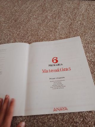 Vendo libros de matemáticas de sexto de primaria 