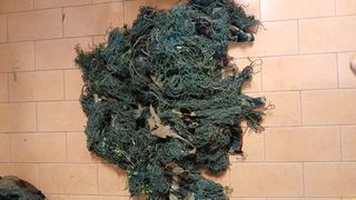 Ghillie Suit mimetico