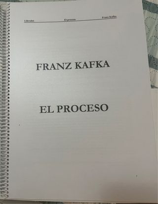 El Proceso