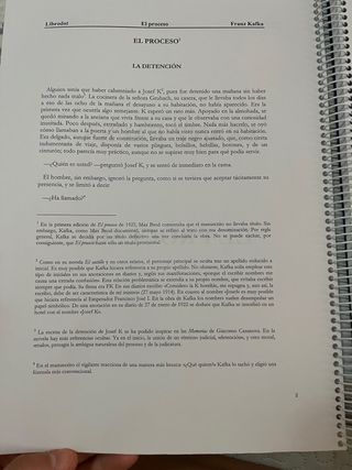 El Proceso