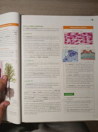 Biología, Geología y Ciencias Ambientales 1.