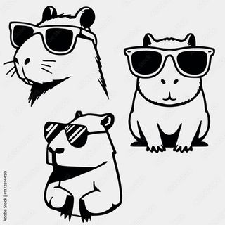 3 Stickers Capibara pegatinas