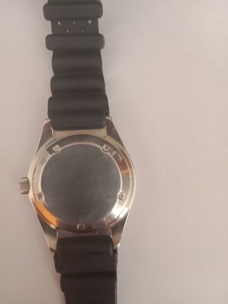 Citizen promaster