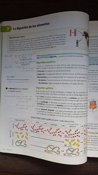 Biología y geología, Arce. 3 ESO. Savia