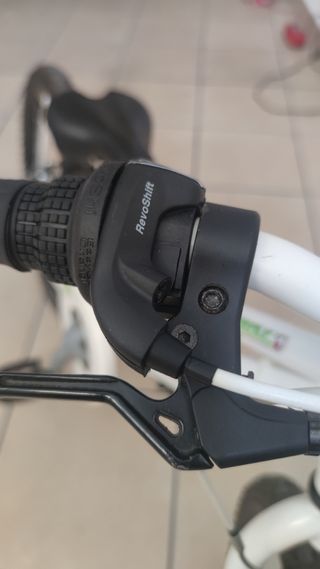 Se vende bicicleta biocycle de 19 pulgadas