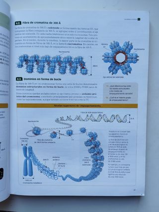 Libro Biología 2° bachillerato Santillana 