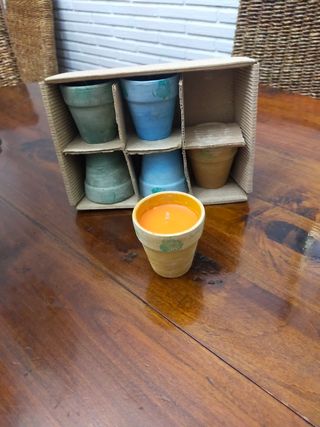Velas en macetas (6 unidades) diferentes colores