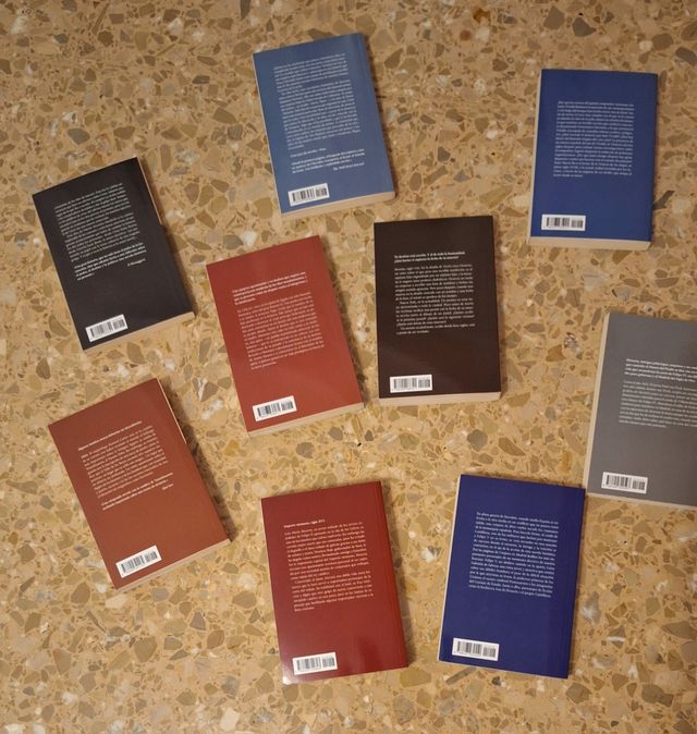 El enigma Vivaldi (Spanish Edition)